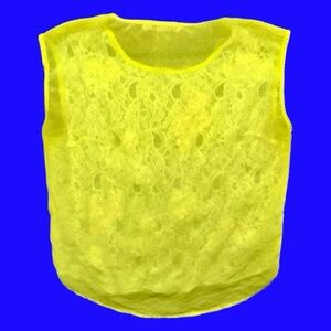 NWT Blouse Anthropology Champagne & Strawberry Top Sheer Tank Shirt Gift